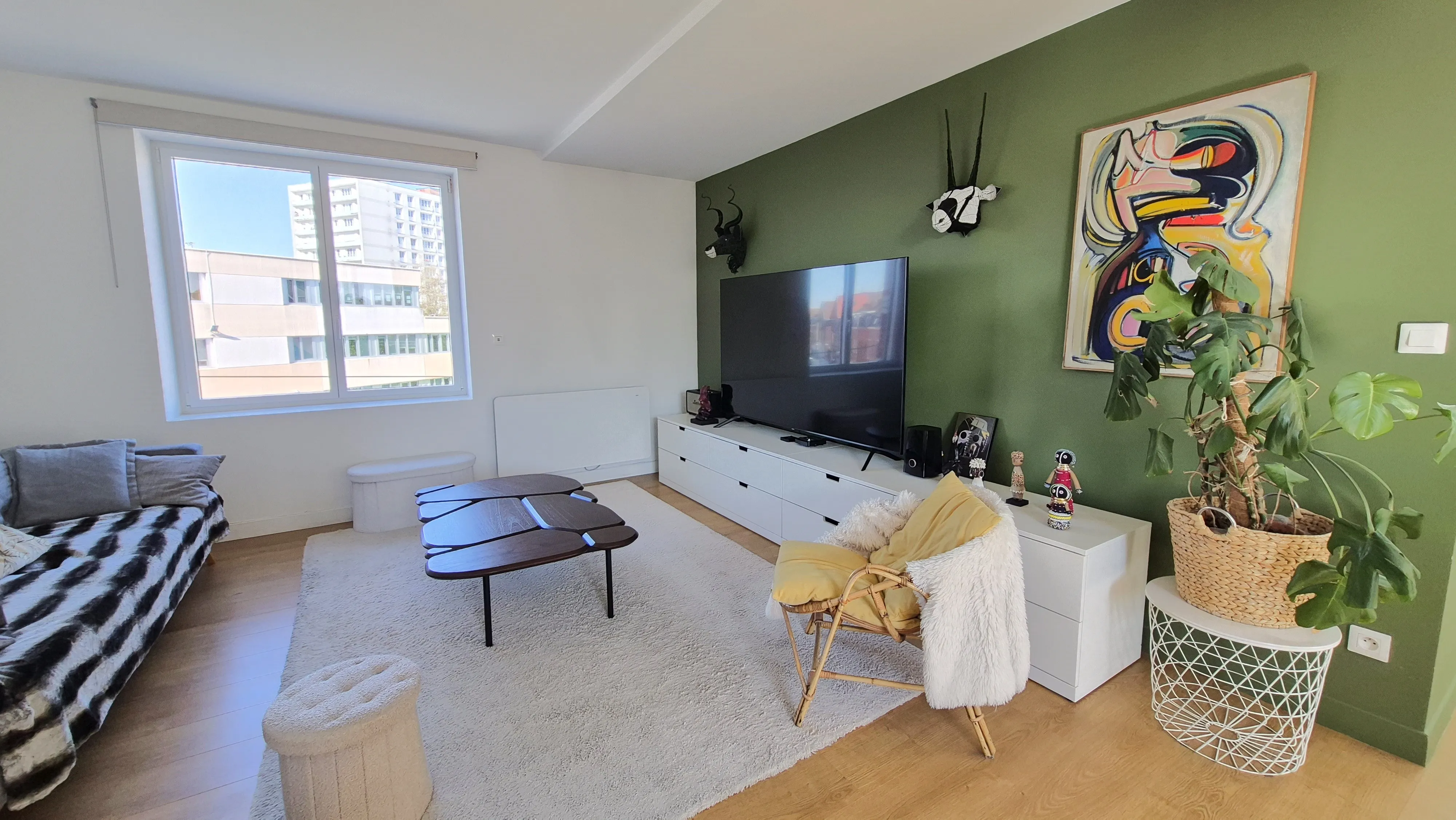 Sejour mur vert meuble tv — Appartement, Lambersart, Lambersart