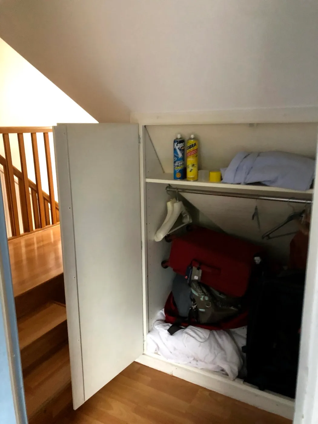 Avant travaux : Placard sous escalier — Aile de maison, Croix, Croix