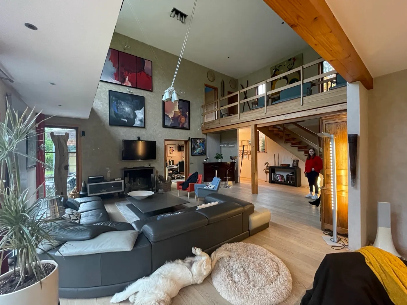 Avant travaux : Sejour cheminee mezzanine — Villa contemporaine, Lille, Lille